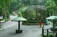 Darjeeling Zoo selected for prestigious award