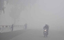 Minimum at 4.8 deg C, dense fog disrupts train and air traffic