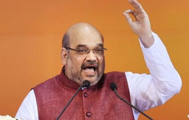 Delhi polls: BJP to release vision document, not manifesto