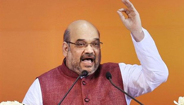 Delhi polls: BJP to release vision document, not manifesto