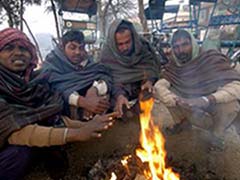 Cold wave continues to sweep Punjab, Haryana