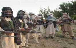 Taliban very dangerous, but not a terror group, insists US