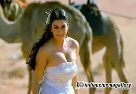 Hansika Motwane in leaked shower video?