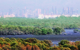 The Big Picture: Space-starved Mumbai set to get its largest land parcel ever