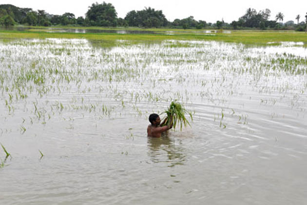 25 Die in Rain-Related Incidents in Rajasthan