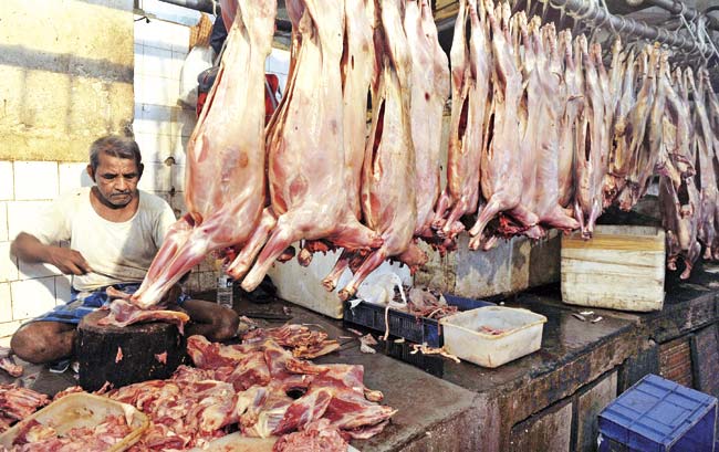 Beef replaced by buffalo gradually- Mutton prices soars