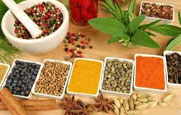 Mainstreaming of AYUSH to address shortage of doctors in rural areas