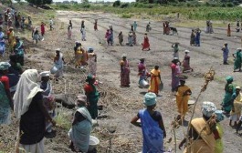 Tripura tops for sixth year in providing rural jobs