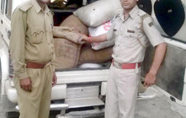 Banned medicinal herb seized, one arrested