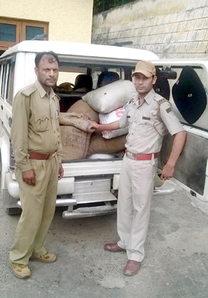 Banned medicinal herb seized, one arrested