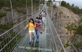 A bridge too far: Terrified tourists struggle to walk across China’s new glass-bottom walkway suspended 600 FEET above the ground