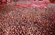 250 tonnes of imported onion reach India, prices may cool
