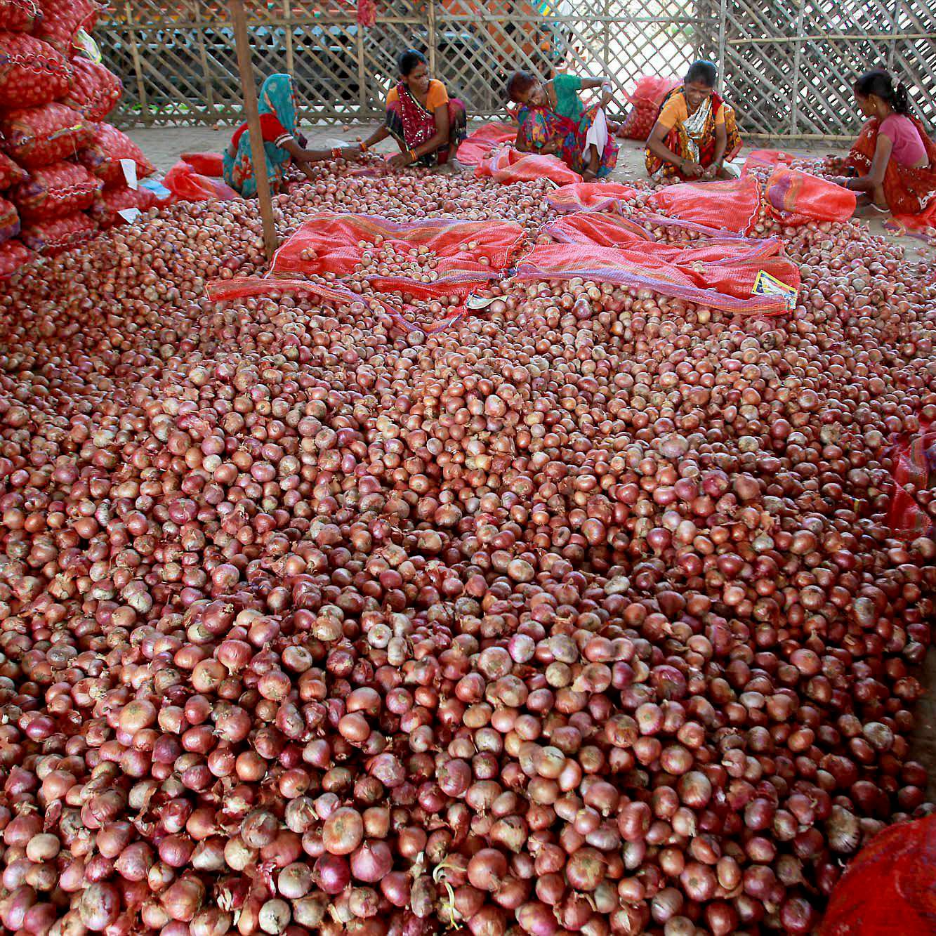 250 tonnes of imported onion reach India, prices may cool