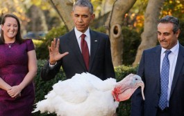 Obama Says US Is Safe As Millions Set Off On Thanksgiving Travel