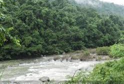 India’s forest cover increases to 21.34% of country’s total geographical area