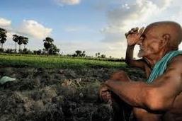 El Nino may spread cholera-like diseases across oceans