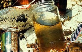 Notices to RML, Paryavran Bhawan for dengues mosquito-breeding