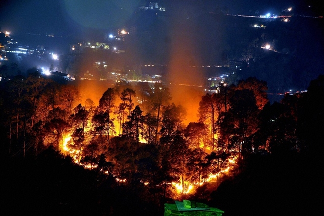 Over 24,000 forest fire cases reported this year: Govt