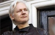 Assange extradition hearing paused over COVID-19 risk