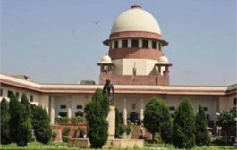 Plea in SC to ascertain feasibility of enacting stringent population control law
