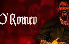 Lawsuit in Mumbai court seeks stay on release of Shahid Kapoor-starrer film “O’ Romeo”