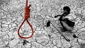 21 farmer suicides in Maharashtra’s Yavatmal district in January